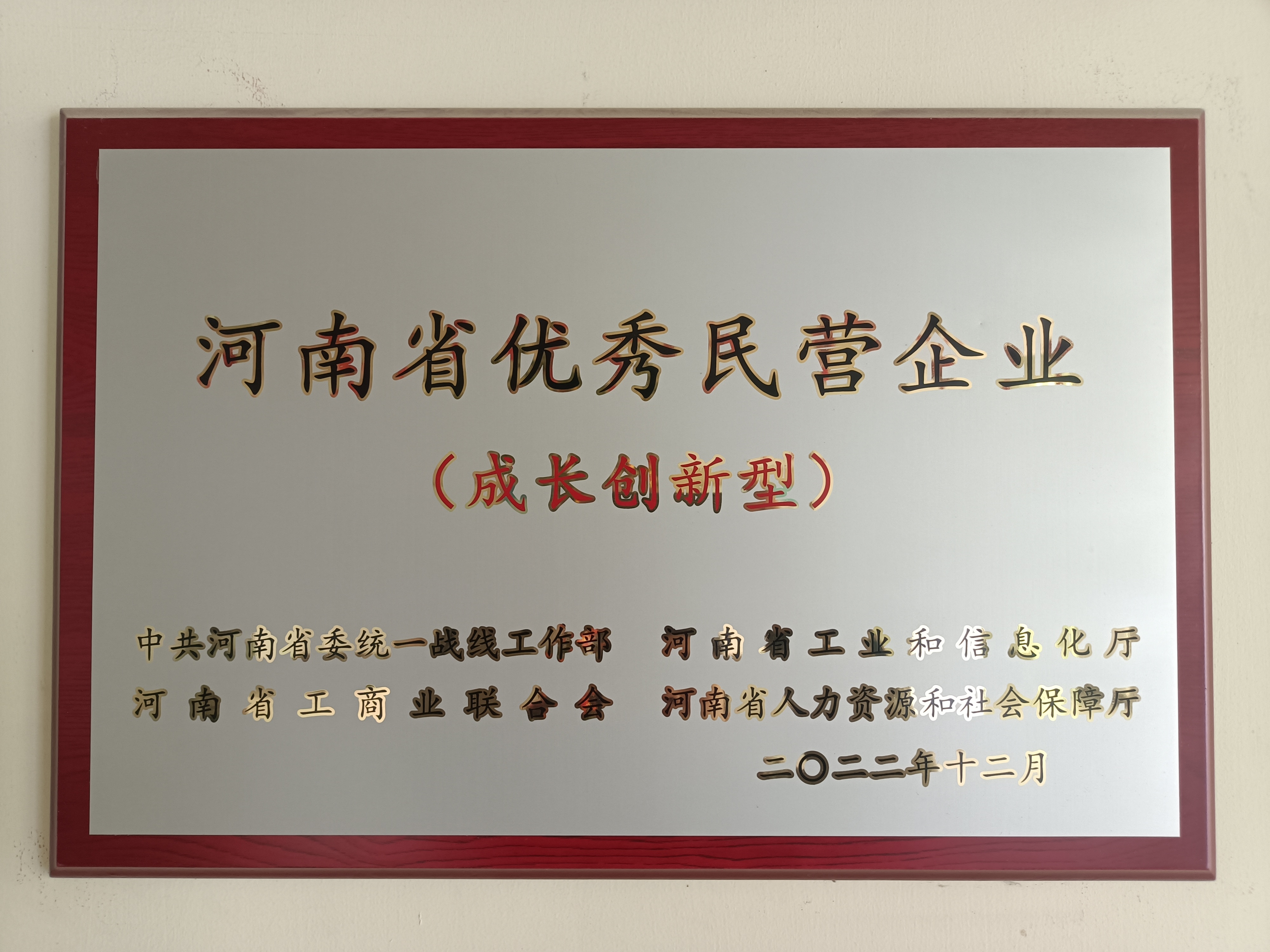 2022年河南优-秀民营企业（成长创新型）